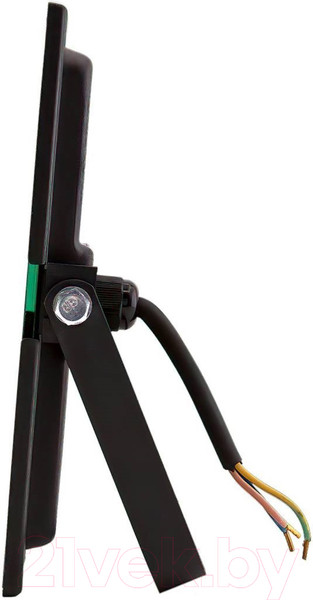 Изображение товара Прожектор Glanzen FAD-0010-100