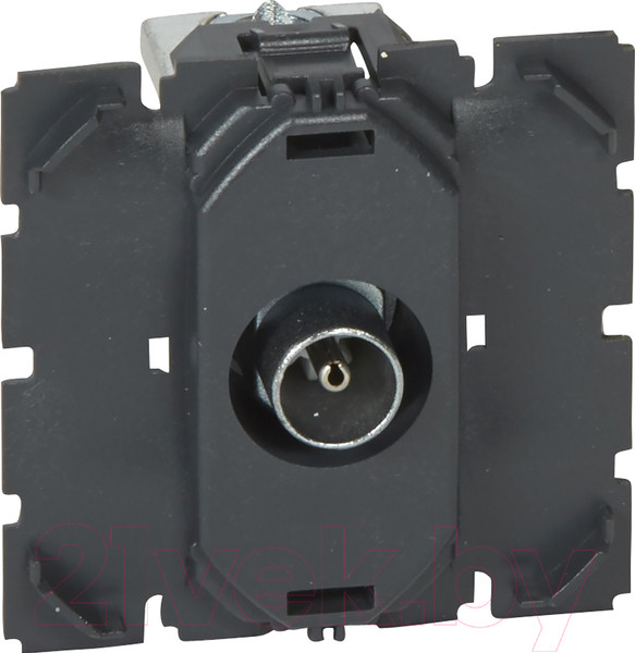 Изображение товара Розетка Legrand Celiane 67382