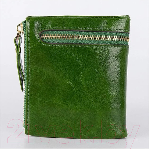 Изображение товара Портмоне Francesco Molinary 895-3105-GRN (зеленый)