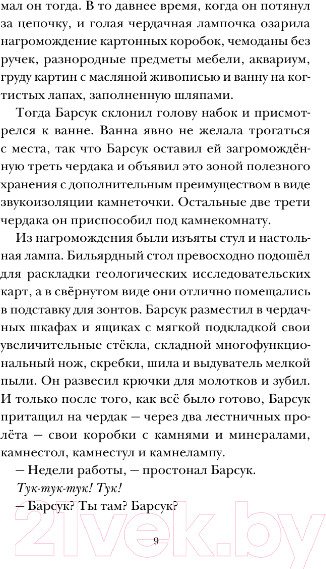 Изображение товара Книга АСТ Скунс и Барсук. Невероятное сокровище (Тимберлейк Э., Классен Д.)