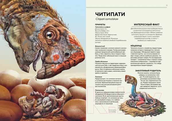 Изображение товара Энциклопедия Махаон Динозавры в натуральную величину (Фрей Р.)