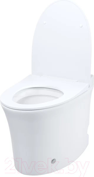 Изображение товара Унитаз напольный IDDIS Pulse PULIDSEi26