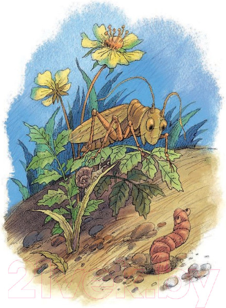 Изображение товара Книга АСТ Волшебное слово (Осеева В.А.)