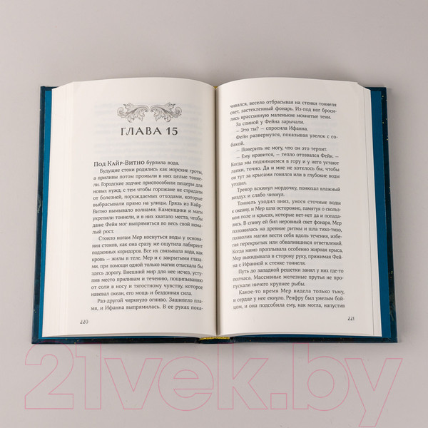 Изображение товара Книга Альпина Затонувший лес (Ллойд-Джонс Э.)