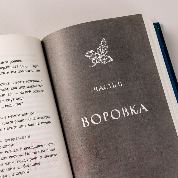Изображение товара Книга Альпина Затонувший лес (Ллойд-Джонс Э.)