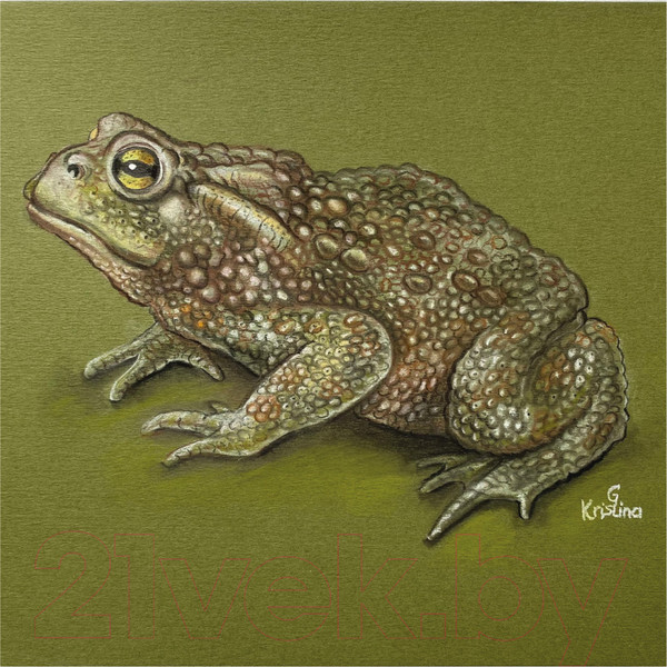 Изображение товара Набор бумаги для рисования Малевичъ GrafArt / 402709 (50л, охра красная)