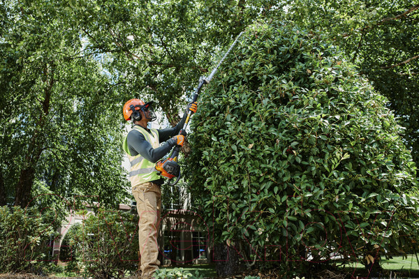 Изображение товара Высоторез бензиновый Husqvarna 525HE3 (967 94 49-01)