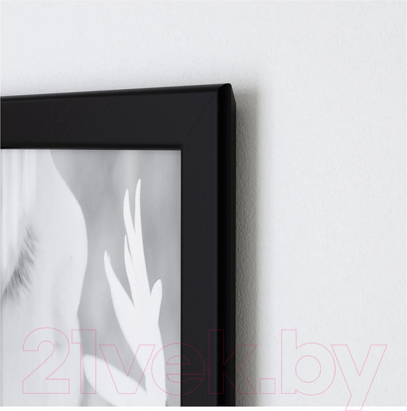 Изображение товара Рамка Ikea Фискбу 302.956.56