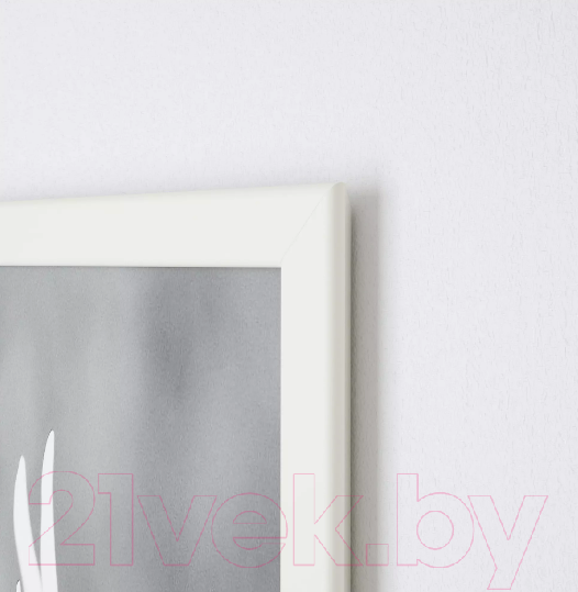 Изображение товара Рамка Ikea Фискбу 803.003.73