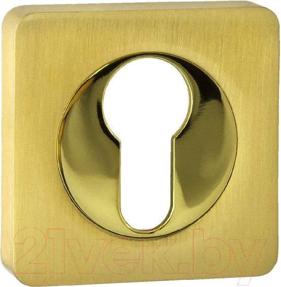 Изображение товара Накладка на цилиндр Ренц INET 02 SG/GP (латунь матовая/латунь блестящая)