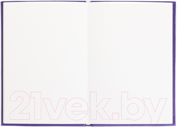 Изображение товара Скетчбук Малевичъ 401520 (30л, фиолетовый)