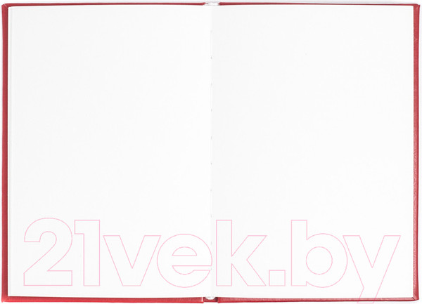Изображение товара Скетчбук Малевичъ 401521 (30л, красный)