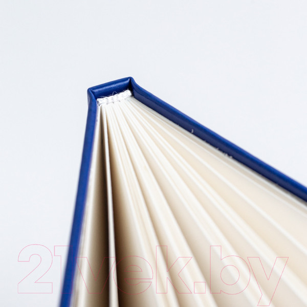 Изображение товара Скетчбук Малевичъ 401522 (30л, синий)