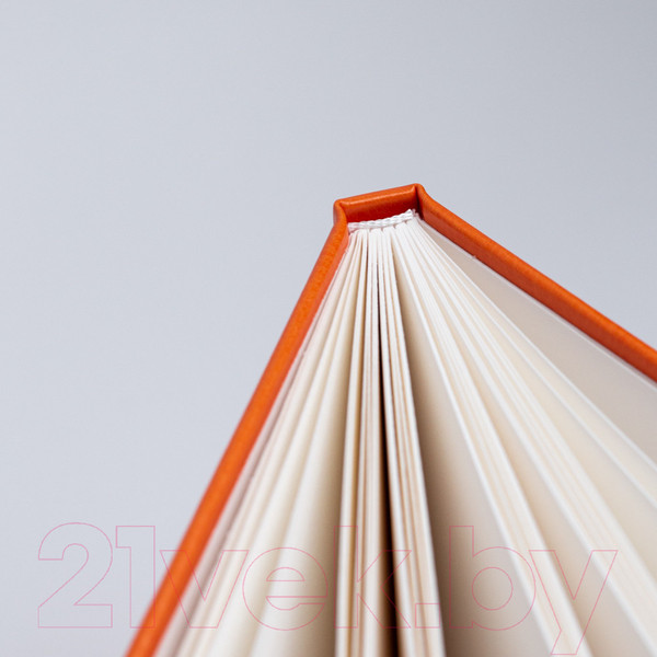 Изображение товара Скетчбук Малевичъ 401523 (30л, оранжевый)