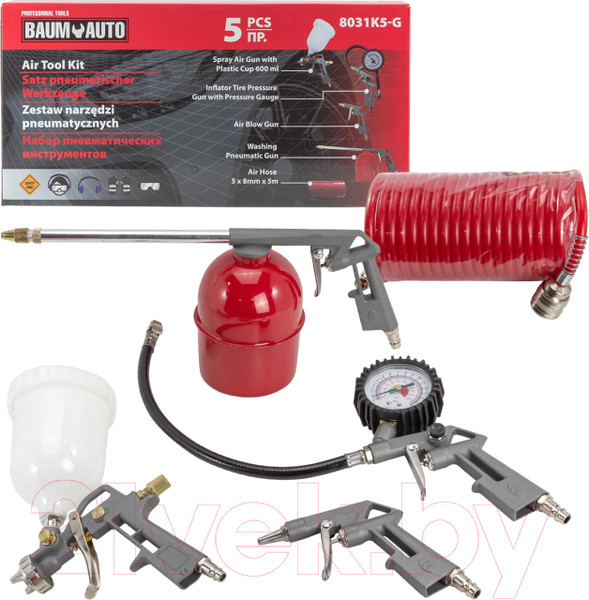 Изображение товара Набор пневмоинструмента BaumAuto BM-8031K5-G (52369)
