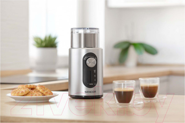 Изображение товара Кофемолка Sencor SCG 3550SS
