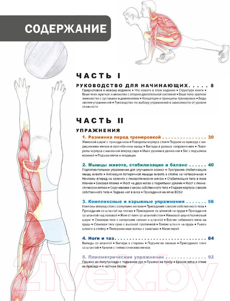 Изображение товара Книга Попурри Анатомия фитнеса и силовых упражнений (Велла М.)