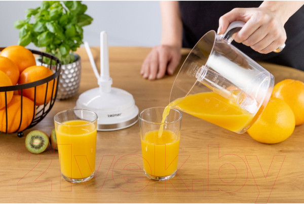 Изображение товара Соковыжималка электрическая Zelmer ZJE2800