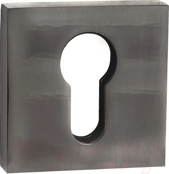 Изображение товара Накладка на цилиндр Ренц INET 03 BN (черный никель)