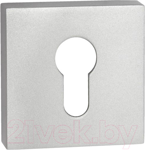 Изображение товара Накладка на цилиндр Ренц INET 03 SSC (супер сатин хром)