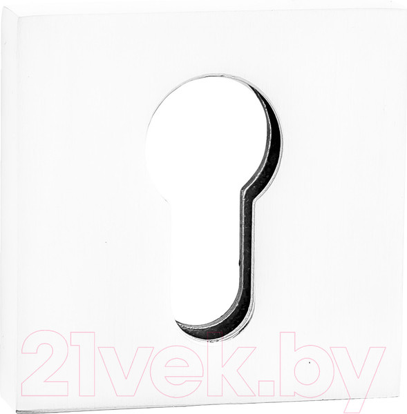 Изображение товара Накладка на цилиндр Ренц INET 03 SW (супер белый)