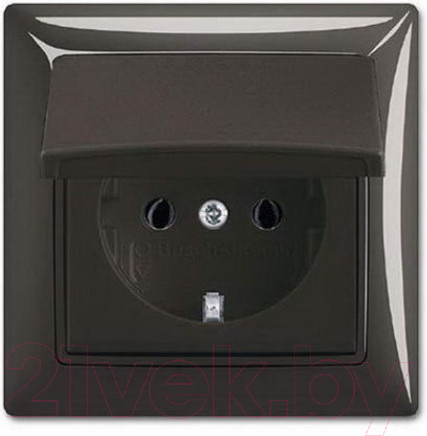 Изображение товара Розетка ABB Basic 55 2018-0-1502 (шато-черный)