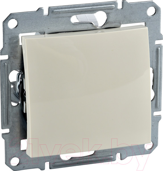 Изображение товара Декоративная заглушка для розетки Schneider Electric Sedna SDN5600147