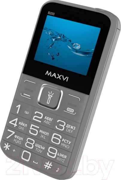 Изображение товара Мобильный телефон Maxvi B200 (серый+ЗУ)