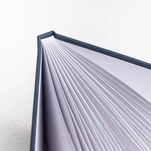 Изображение товара Скетчбук Малевичъ 401146 (40л, индиго)