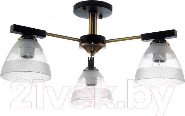 Изображение товара Люстра Aitin-Pro A3626/3