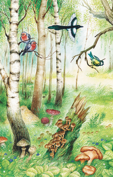 Изображение товара Книга АСТ Стихи о природе (Есенин С.А. и др.)