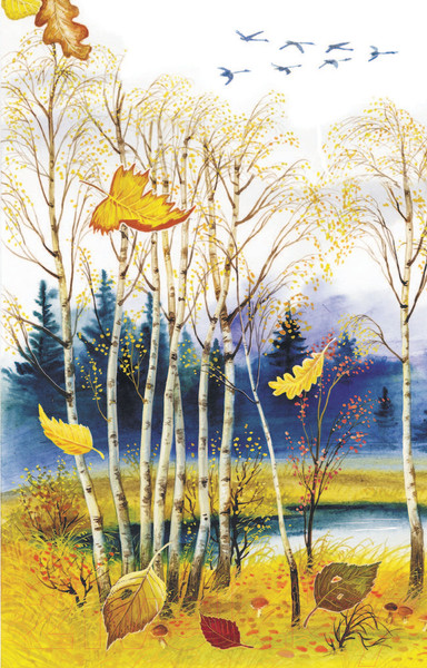 Изображение товара Книга АСТ Стихи о природе (Есенин С.А. и др.)