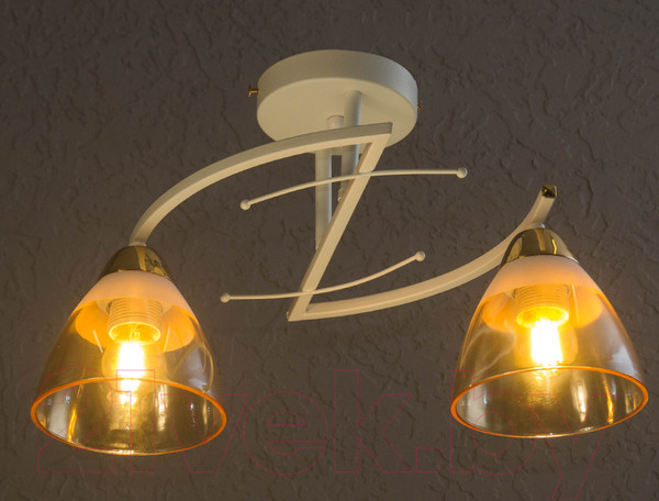 Изображение товара Потолочный светильник Aitin-Pro C1280/2 (белый)