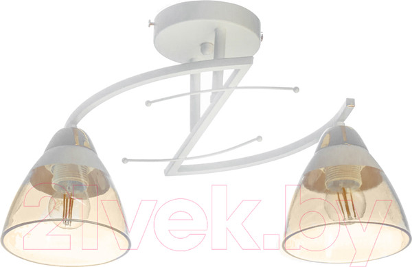 Изображение товара Потолочный светильник Aitin-Pro C1280/2 (белый)