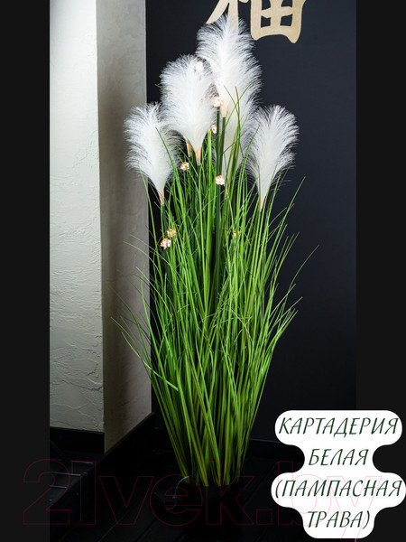 Изображение товара Искусственное растение Merry Bear Home Decor Микс трава-кортадерия белая KA0965