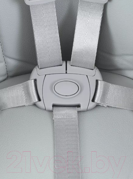 Изображение товара Стульчик для кормления Rant Basic Cookie / RH700 (Grey)