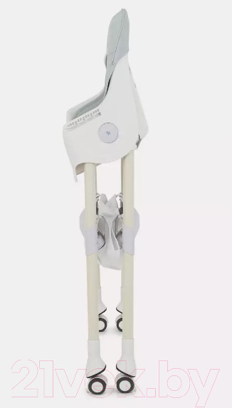 Изображение товара Стульчик для кормления Rant Basic Cookie / RH700 (Grey)