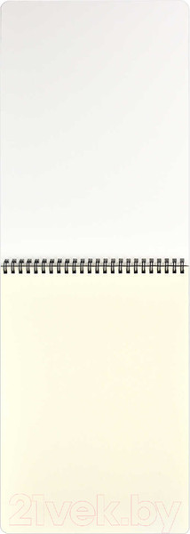 Изображение товара Альбом для рисования Феникс+ Ирисы / 59483