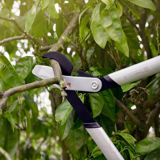 Изображение товара Сучкорез механический Fiskars LX94 PowerGear 1020187