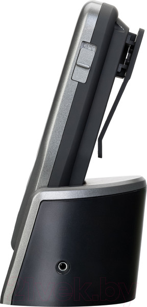 Изображение товара Кухонный термометр Levenhuk F30 78931