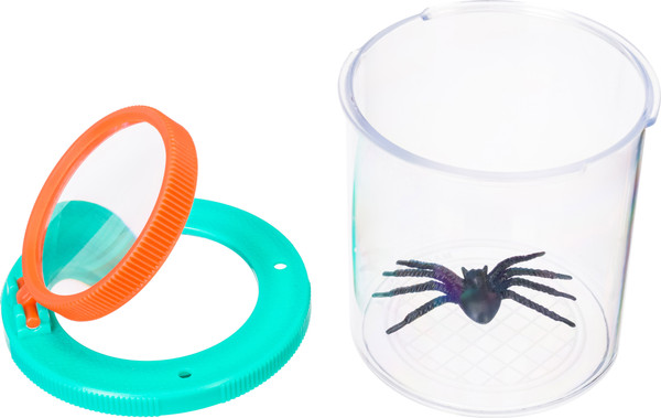 Изображение товара Транспортировочный бокс Levenhuk Discovery Basics CN5 79650