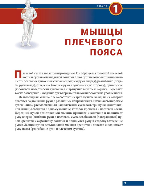 Изображение товара Книга Попурри Анатомия бодибилдинга 2022 (Эванс Н.)