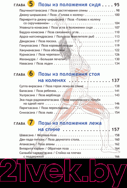 Изображение товара Книга Попурри Анатомия йоги (Каминофф Л.)