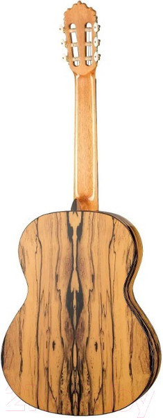 Изображение товара Акустическая гитара Alhambra Classical Conservatory 6 White Ebony / 8.891V