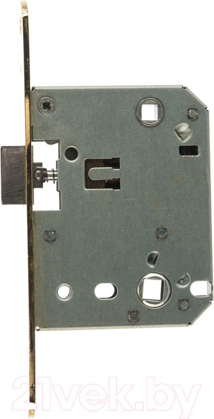 Изображение товара Защелка врезная Ренц INLB 2070 oval B c овальной планкой (латунь блестящая)