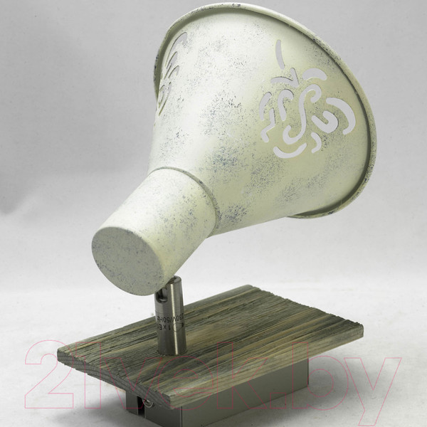 Изображение товара Спот Lussole Lgo LSP-8058