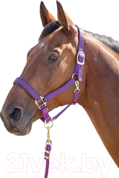 Изображение товара Недоуздок для лошади Shires Topaz COB 387/PURPLE/COB (фиолетовый)