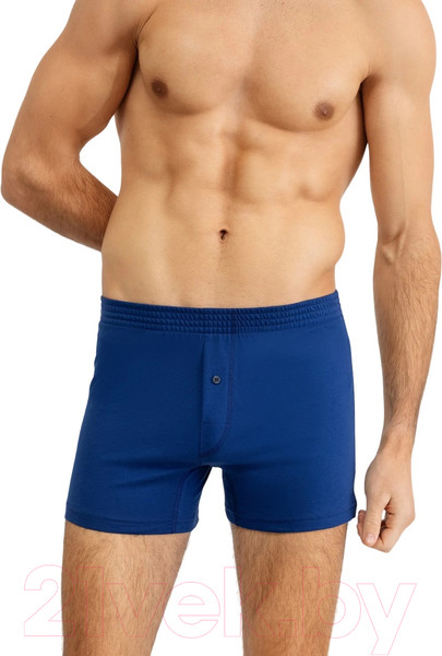 Изображение товара Трусы мужские Mark Formelle 411152 (р.114-124, темно-синий)