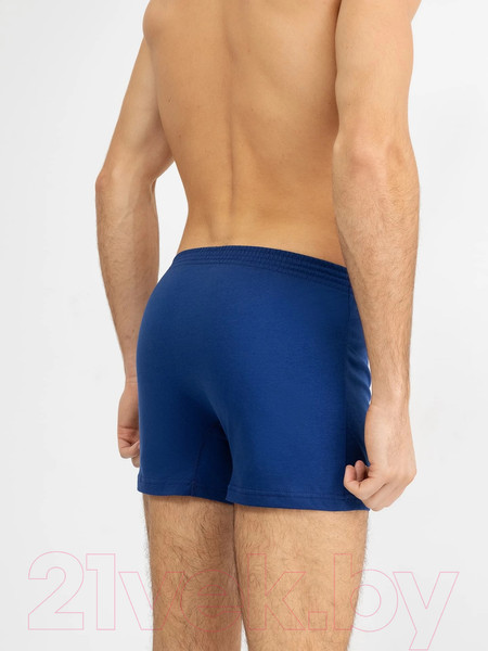 Изображение товара Трусы мужские Mark Formelle 411152 (р.114-124, темно-синий)
