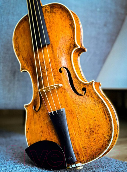 Изображение товара Подбородник Goetz Slim Ebony ZK-256
